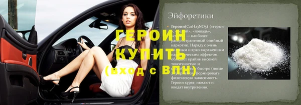 хмурый Аркадак