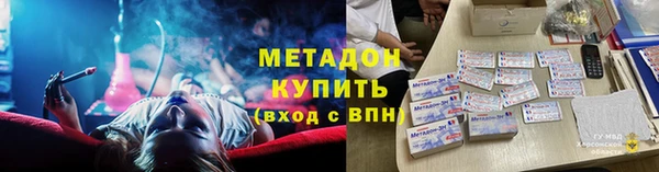 хмурый Аркадак