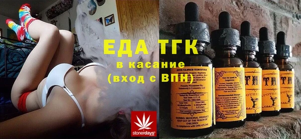 хмурый Аркадак