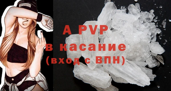 хмурый Аркадак