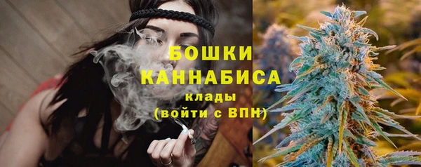 гидра Лихославль