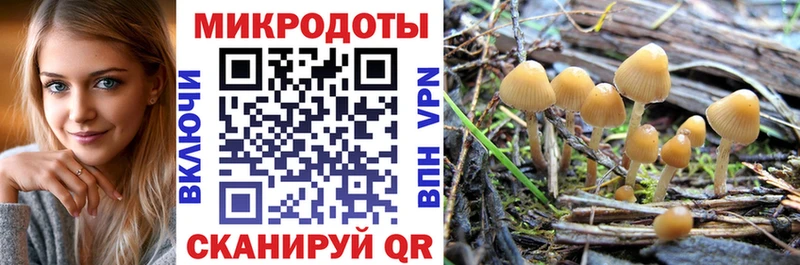 где найти наркотики  Александровск  MEGA маркетплейс  Псилоцибиновые грибы Psilocybe 